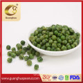 Wholesale Crispy and Best Taste Green Beans